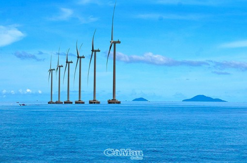Cà Mau: Luồng gió mới từ biển