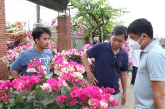 'Vương quốc hoa kiểng' Chợ Lách hấp dẫn du khách dịp cuối năm