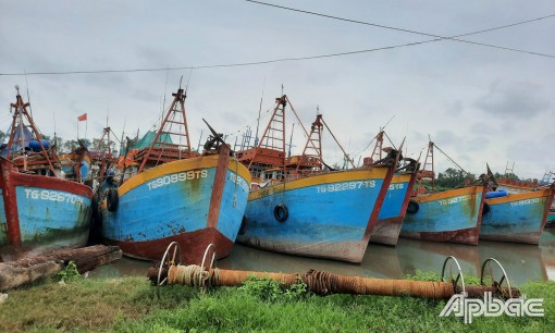 Tiền Giang: Ngư dân gặp khó do giá xăng, dầu tăng cao