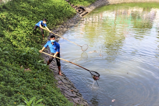 Tuổi trẻ Công ty Cổ phần Môi trường đô thị An Giang ra quân làm sạch đẹp hồ Nguyễn Du