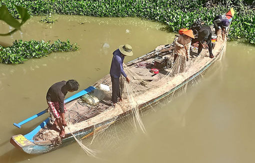 Sản vật nước nổi vào mùa