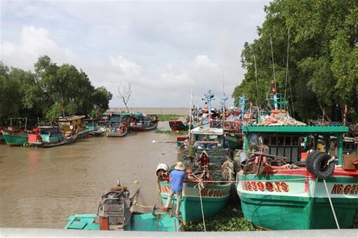 Gỡ khó cho tàu cá và ngư dân Kiên Giang tiếp tục vươn khơi