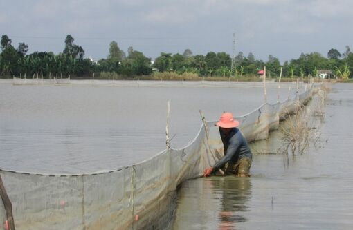 Bảo vệ nguồn tài nguyên nước ở TP Cần Thơ