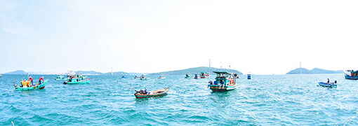 Mùa nước mực ở Phú Quốc