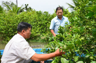 Trà Vinh: Hội Nông dân xã Phong Phú sử dụng hiệu quả nguồn vốn phục vụ sản xuất