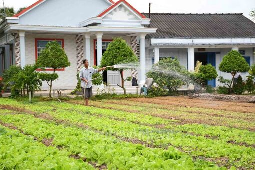 Trà Vinh: Tiểu Cần phấn đấu đạt chuẩn huyện nông thôn mới nâng cao trước năm 2025