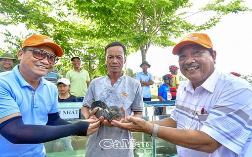 Hấp dẫn các hoạt động Hương rừng U Minh tại Vườn Quốc gia U Minh Hạ