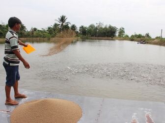 Vĩnh Long: Để phát triển bền vững ngành thủy sản