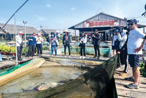 Cần Thơ: Tích hợp đa giá trị trong phát triển nông nghiệp đô thị