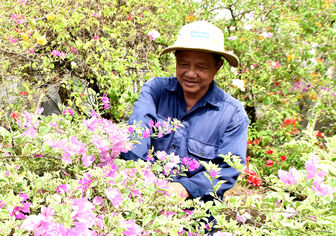 Trà Vinh: Khởi động ở Làng nghề hoa kiểng